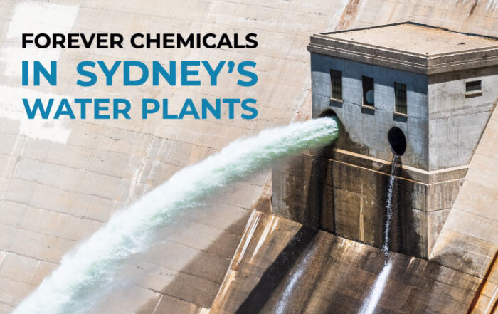 Forever Chemicals in Sydney's Water Plants