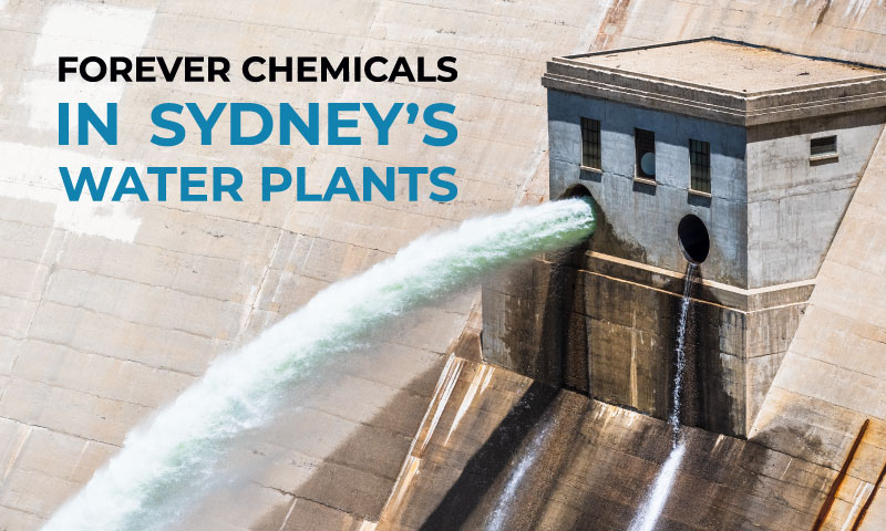 Forever Chemicals in Sydney's Water Plants